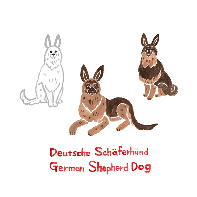 ドイツの犬